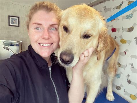 20 Reasons Why You Should Train to Become a Dog Groomer