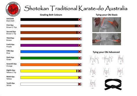 Order Of Taekwondo Belts