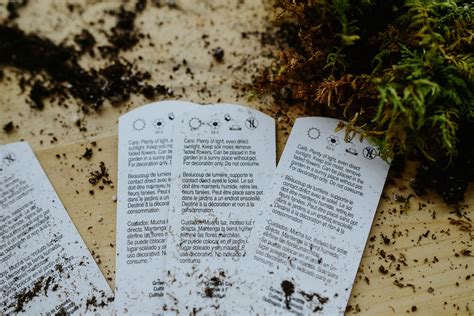 Image result for Using a Bulb Planter