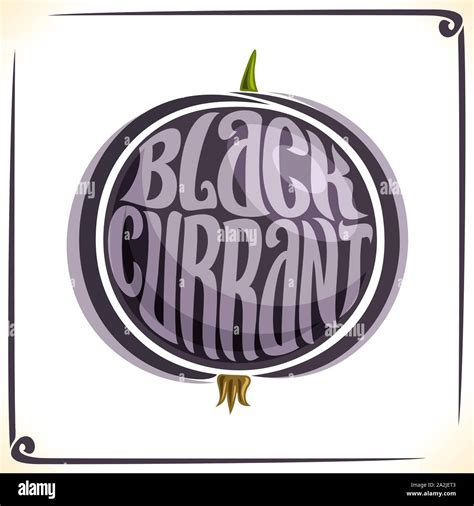 Vector logo for Blackcurrant, label with one whole black currant for ...