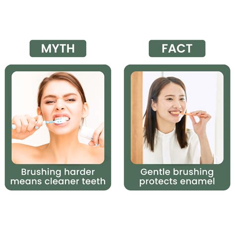5 Dental Myths Debunked By Aura Dentists Cranbourne
