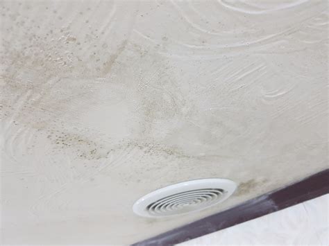 Image result for Remove Mold From Textured Ceiling