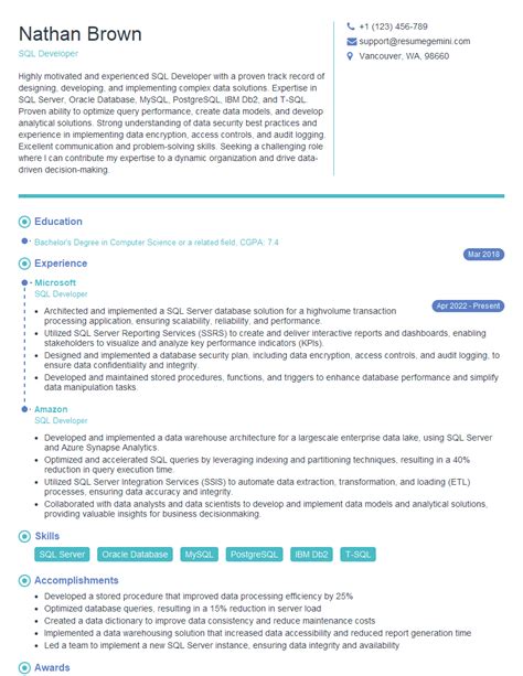 Image result for SQL Developer Job Resume