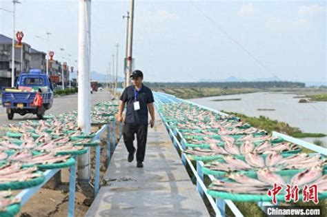 湖南岳阳洞庭渔民上岸 晒风干鱼年产值超2亿元 - 酷族派