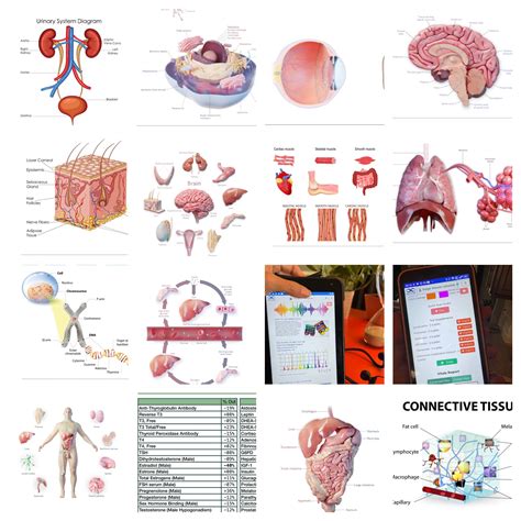 Discover the Cutting-Edge AO Scan Body System - AO Scan Global