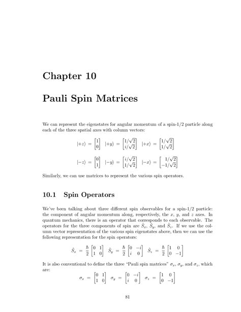 Chapter 10 Pauli Spin Matrices | Exercises Quantum Mechanics | Docsity