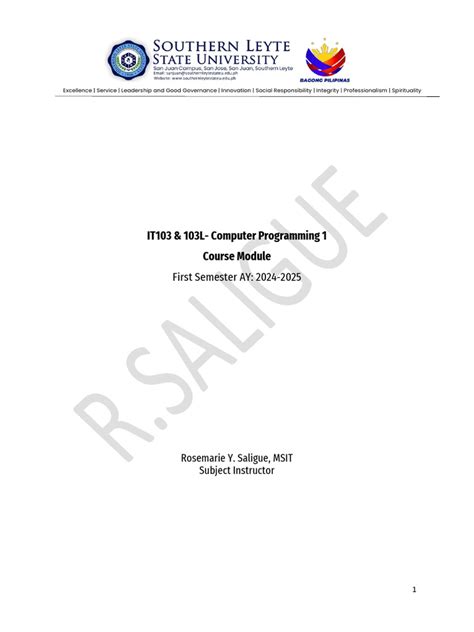 Image result for SLU Computer Programming Module