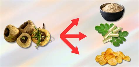 Image result for Fertility Maca Root