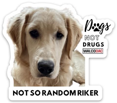 RIKER by Walco DAC | Die cut stickers | Sticker Mule India