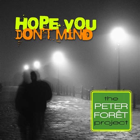 Hope You Don't Mind - Peter Forêt