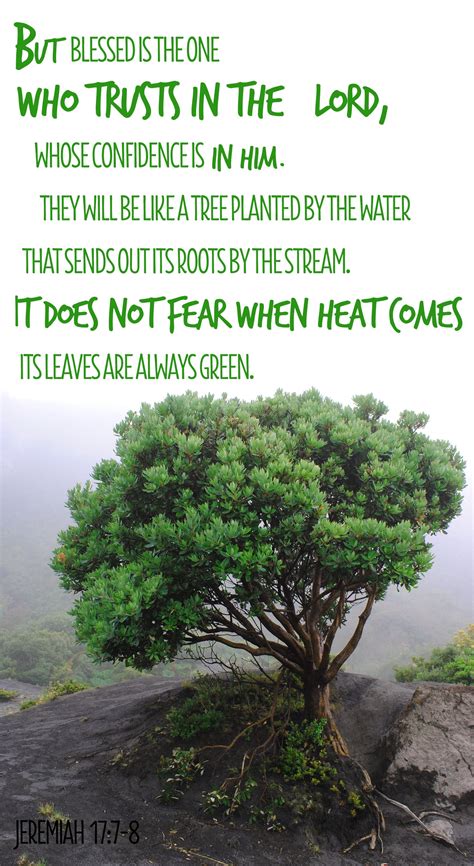 Jeremiah Bible Quotes