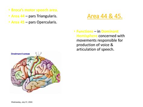 Kluver-Bucy Syndrome.ppt affecting cerebral cortex | PPT