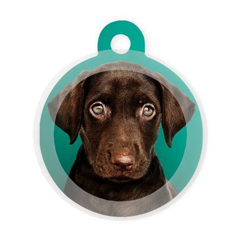 Your Design / Pet Picture – Taggie Pet Store