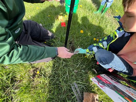 Arbor Day Tree Planting , Broome Park, Flint, 25 April 2025 | AllEvents