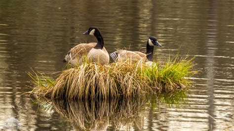 Washington Parks and Wildlife Refuges
