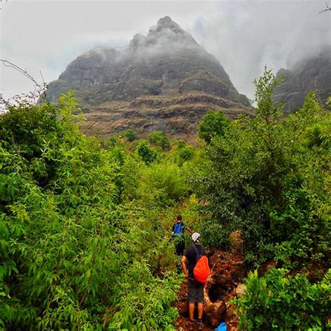 Go To Kalavantin Durg On This Monsoon Trek I LBB, Mumbai