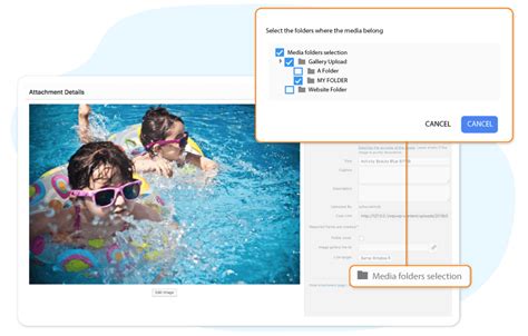 Image result for Categorizing Media Files Using Folder in WordPress