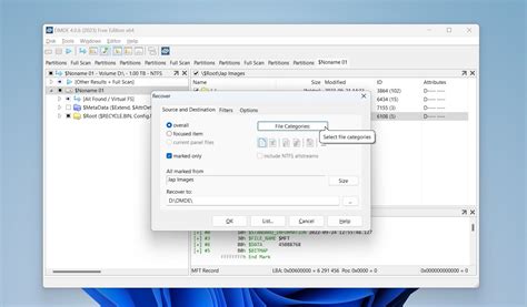 Image result for How to Fix a File System Using Dmde