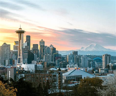 Pest Control Seattle | Moxie Pest Control