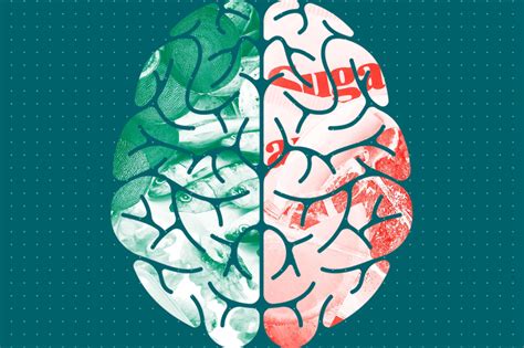 6 foods you should be eating every day for better brain health according to a dietitian – Artofit