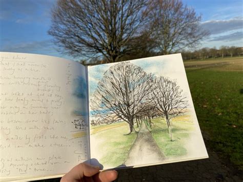 Image result for How to Draw Trees