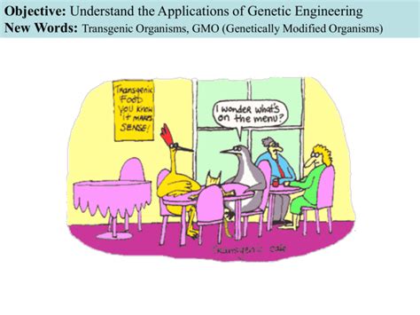 Application of Genetic Engineering 的图像结果