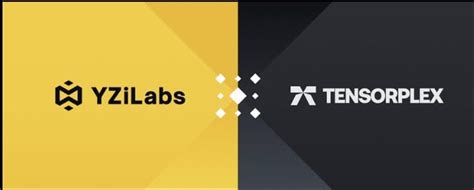 YZi Labs Backs Tensorplex Labs to Drive the Future of Decentralized AI ...