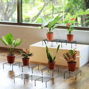TrustBasket Indigo Plant Stand Set of 4 Black Plant Container Set Price ...