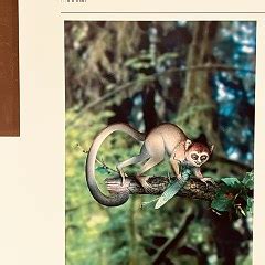 Image result for Cerca Paper Example