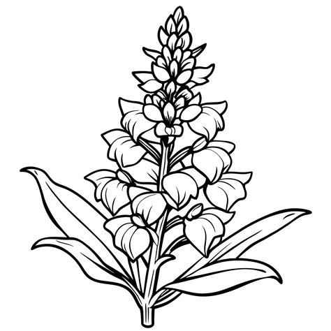 Snapdragon flower outline illustration coloring book page design ...