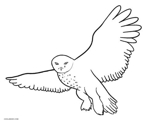 Snow Owls - Free Coloring Pages