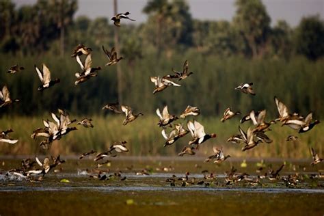 Vizag to Lambasingi Day Trip - Book Now @ Rs.5999 (8% off)