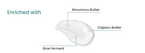 Murumuru Butter Hair Conditioner | Earth Rhythm