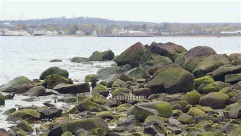 East Shore Park | Take Pics Here