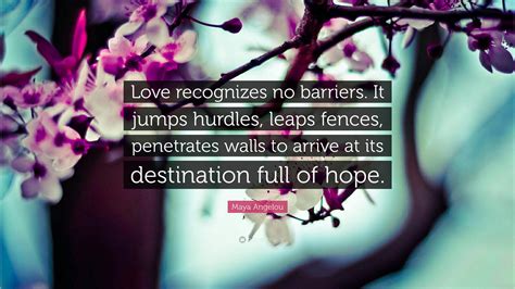 Maya Angelou Quote: “Love recognizes no barriers. It jumps hurdles ...