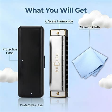 ARCTIC Key C 10-Hole Diatonic Harmonica Mouth Organ – For Beginners ...