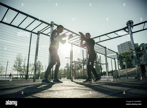 Boxing Training Ground 的图像结果