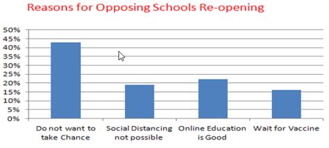 Analytical Paragraph: Questions and Answers - English Class 10 PDF Download