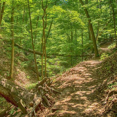 P. J. Hoffmaster State Park - Parks Guidance