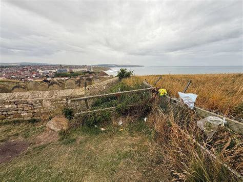 Couple who 'jumped' from Whitby cliffs in front of horrified onlookers ...