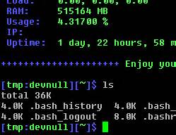 Shell Prompt 的图像结果