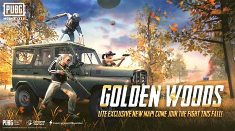 Image result for Pubg Lite Redeem Code