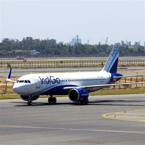 US Visa Appointment In India: Wait Times Down Across Major Cities