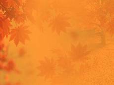Fall Backgrounds Powerpoint by Fall Autumn 01 Powerpoint Templates Fall Backgrounds Powerpoint