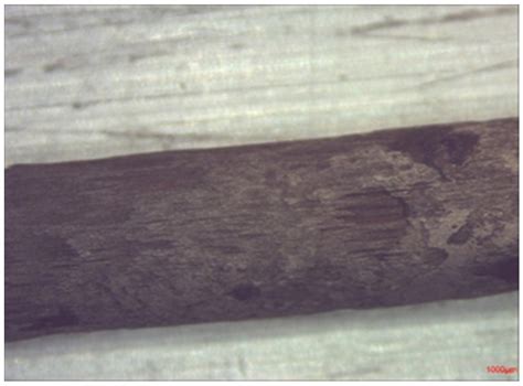Electrochemical Noise Measurement to Assess Corrosion of Steel ...