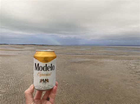 Tio Camp Code 的图像结果