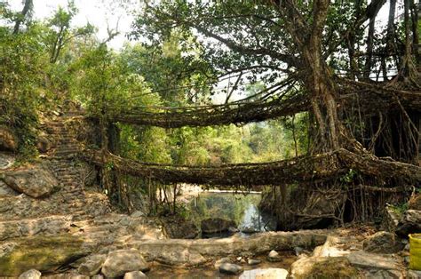 meghalaya must visit caves | Femina.in