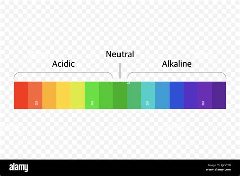Image result for Universal Indicator Examples