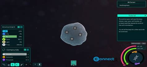 Image result for Evolution Simulation Game