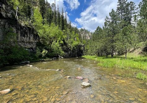 Black Hills Fly Fishing Report July 21 2023 – Dakota Angler & Outfitter